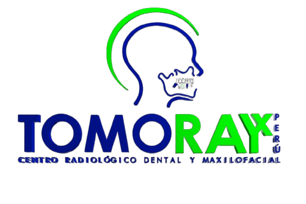 Logo Reponsive
